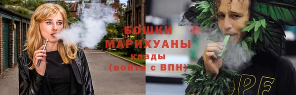 гидра Павловск
