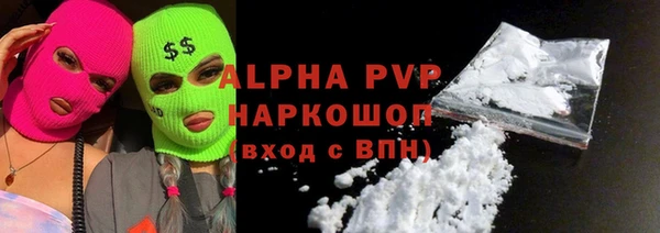 круглые Тайга