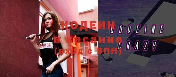 круглые Тайга