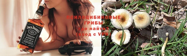 наркотики Тавда