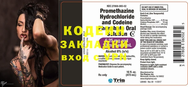 круглые Тайга