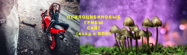 наркотики Тавда