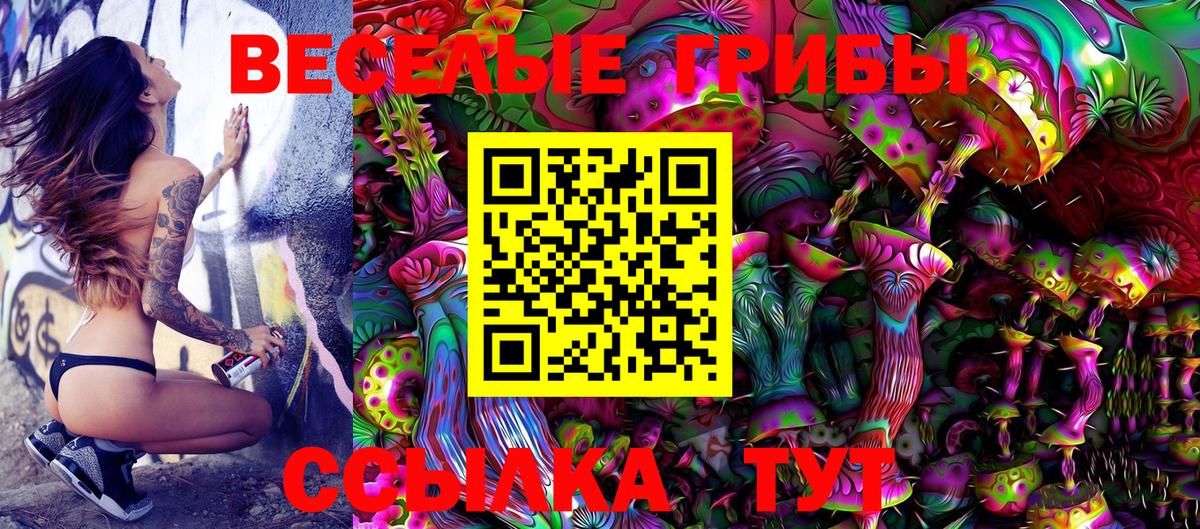 Псилоцибиновые грибы Cubensis Южноуральск